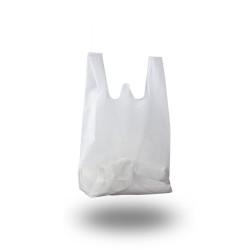 Nonwoven Bags 100 pcs