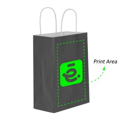 Printed Paper Bag (Color Optional)
