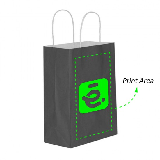 Printed Paper Bag (Color Optional)