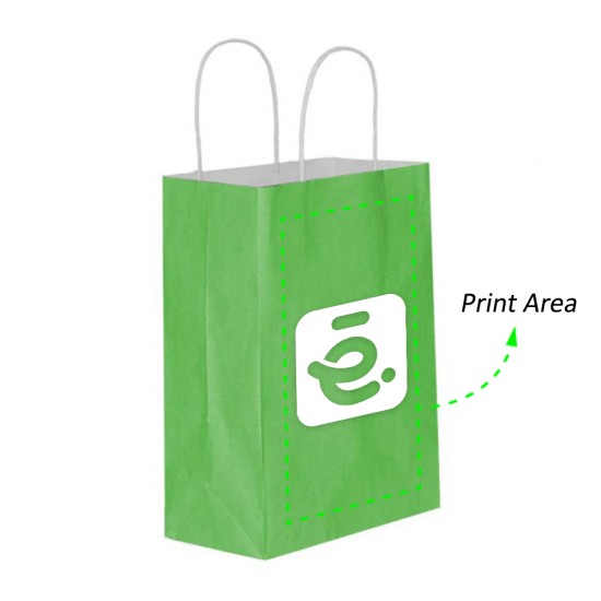 Printed Paper Bag (Color Optional)